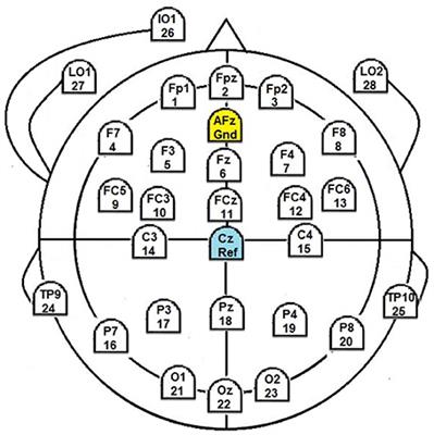 Dual Frequency Head Maps: A New Method for Indexing Mental Workload Continuously during Execution of Cognitive Tasks